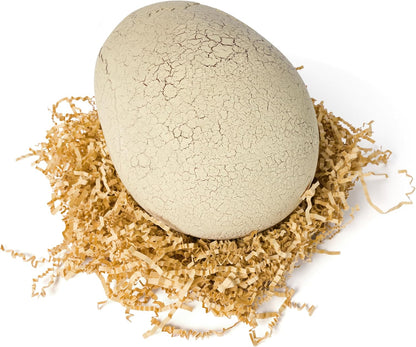 Jurassic World Primal Hatch Interactive Toy Dinosaur & Egg