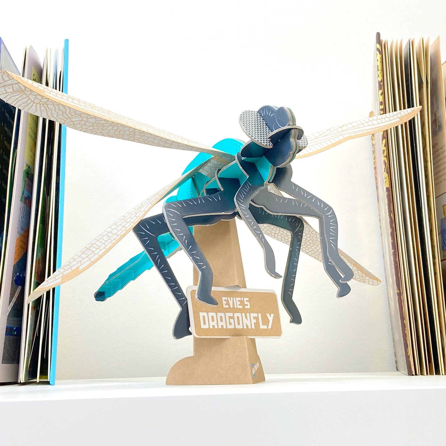 Dragonfly - Build Your Own